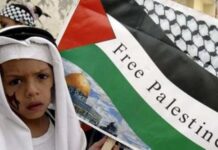 fatwa mui dukungan palestina