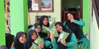SMP Persada Insan Nusantara Tebuireng 17 Sokaraja Sukses Panen Sayur Organik Ketiga SMP Persada Insan Nusantara Tebuireng 17 Sokaraja sukses panen sayur organik, pada Jumat, 26 September 2025. Foto: Faiz