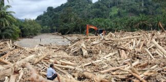Banjir Sumatera, Fenomena Kayu Bernomor dan Amanah Lingkungan dalam Islam