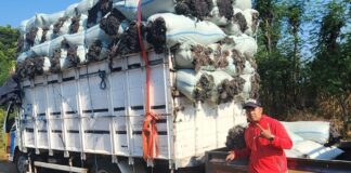 Dari Kolam Lele Trensains ke Tambak Rumput Laut, Jalan Sukses Satriyo di Dunia Bisnis